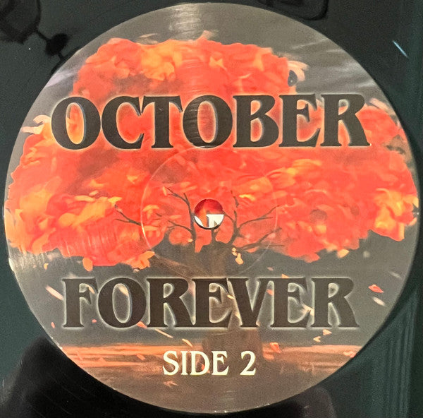 Driveways (2) : October Forever (LP, Album, RP)
