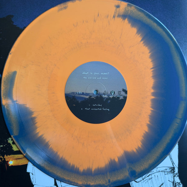 What Is Your Name? : The Now Now And Never (2xLP, Dlx, Ltd, Sun)