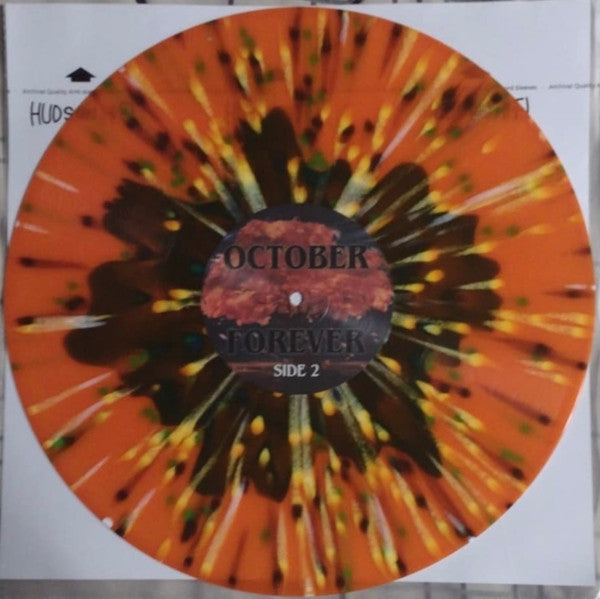 Driveways (2) : October Forever (LP, Ora)