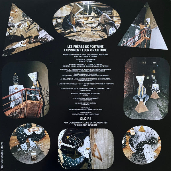Angine De Poitrine Vol. II vinyl LP two-sided photo insert