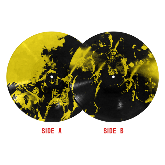 Twenty One Pilots Breach limited edition Exalt picture disc vinyl LP mockup
