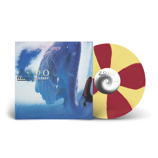 Fleshwater 2000: In Search Of The Endless Sky limited edition tour exclusive cornetto vinyl LP mockup