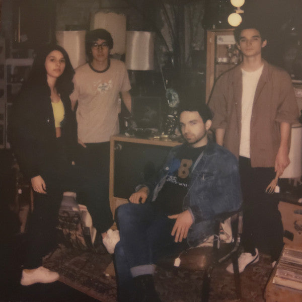 The Greeting Committee : This Is It (LP, Album)