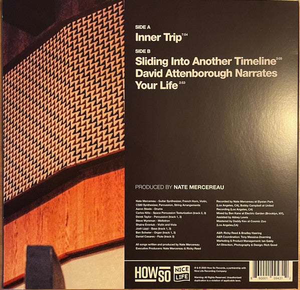 Nate Mercereau : More Techniques (10", EP)