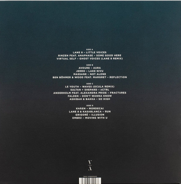 Various V vinyl 2LP back cover with tracklist