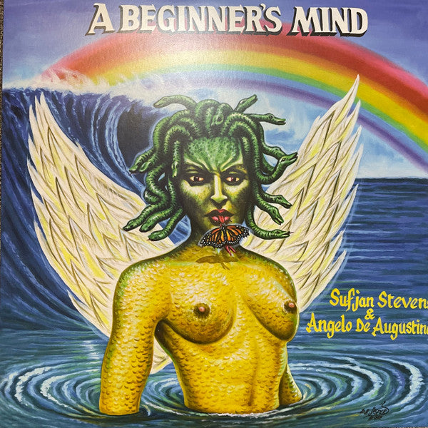 Sufjan Stevens & Angelo De Augustine A Beginner's Mind vinyl LP front cover