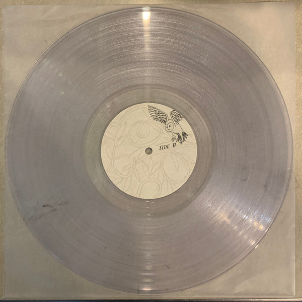 The Decemberists : Picaresque (2xLP, Album, Ltd, RE, Cle)
