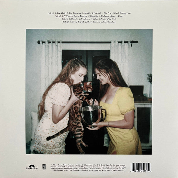 Lana Del Rey : Blue Banisters (2xLP, Album, Ltd, RE, RP, Whi)