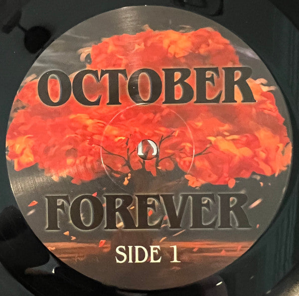 Driveways (2) : October Forever (LP, Album, RP)