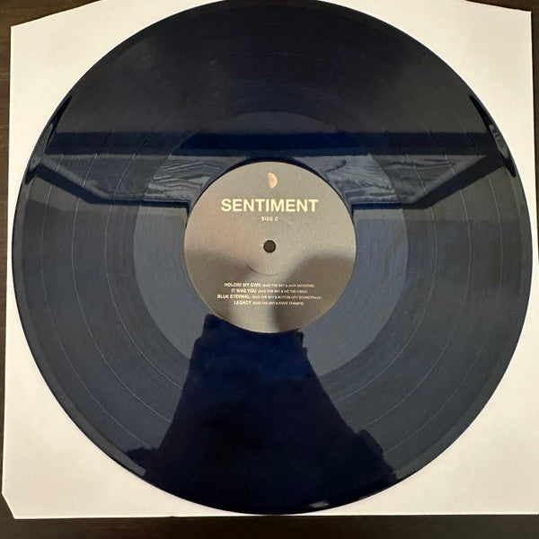 Said The Sky : Sentiment (2xLP, Album, Blu)