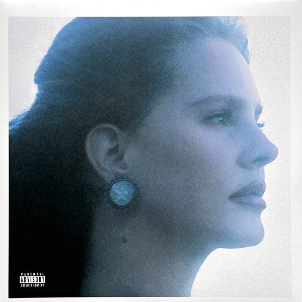 Lana Del Rey Blue Banisters vinyl 2LP front cover