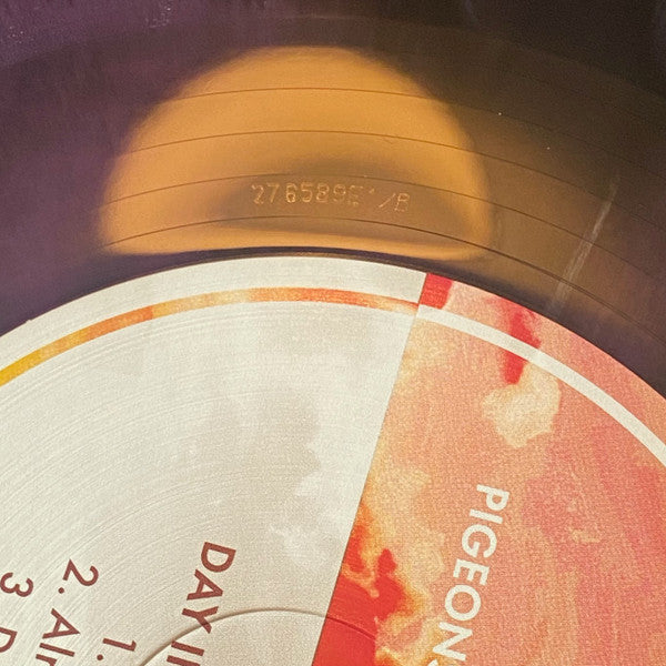 Pigeons Playing Ping Pong Day In Time vinyl 2LP runout and label close-up