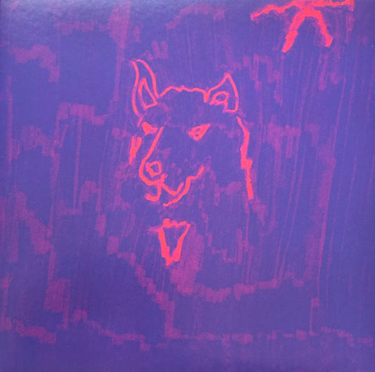 Dehd : Poetry (LP, Album, Ltd, Cle)