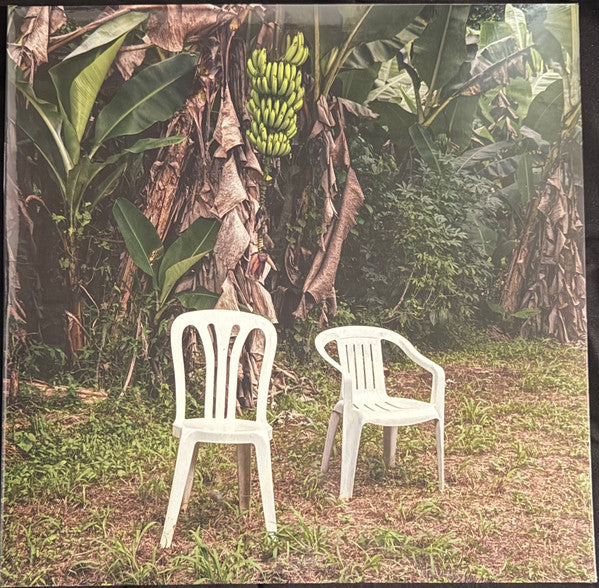 Bad Bunny : Debí Tirar Más Fotos (2xLP, Album, Blu)