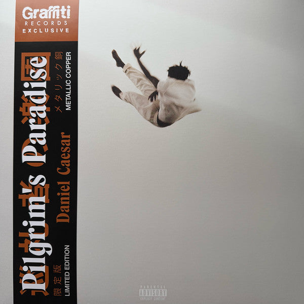 Daniel Caesar (2) : Pilgrim's Paradise (LP, Album, Ltd, RE, Met)