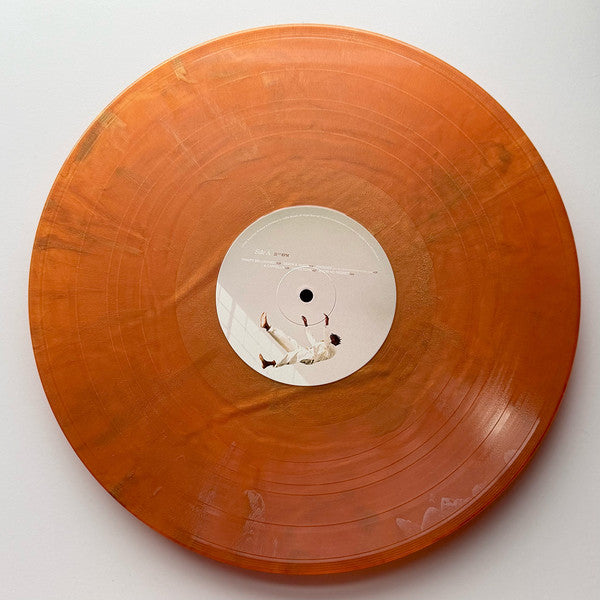 Daniel Caesar (2) : Pilgrim's Paradise (LP, Album, Ltd, RE, Met)