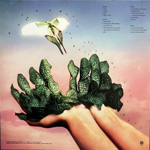 Raveena Where the Butterflies Go in the Rain vinyl LP back cover with track list
