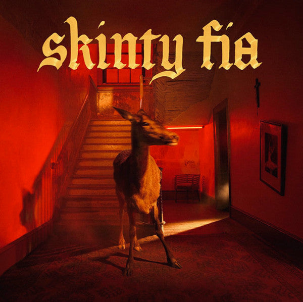 Fontaines D.C. Skinty Fia vinyl LP front cover