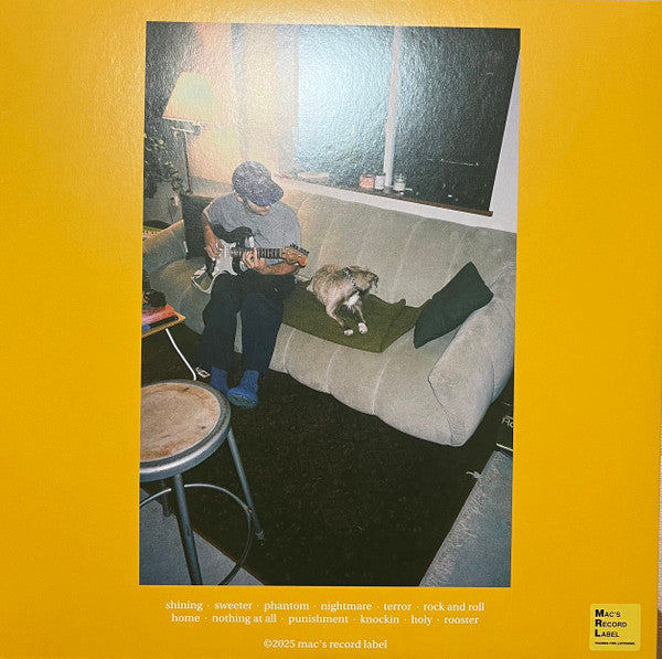 Mac Demarco Guitar vinyl LP back cover with track list