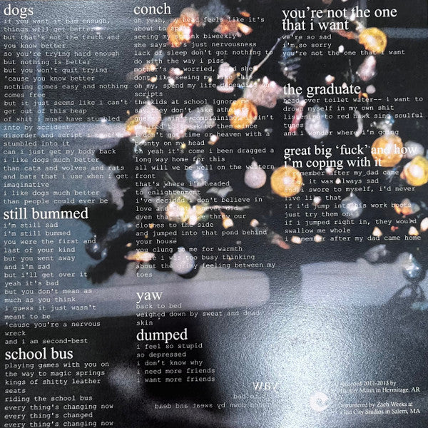 Nouns Still Bummed vinyl LP lyrics insert