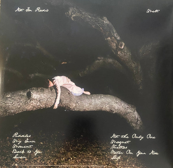 Not for Radio Melt vinyl LP back cover with tracklist
