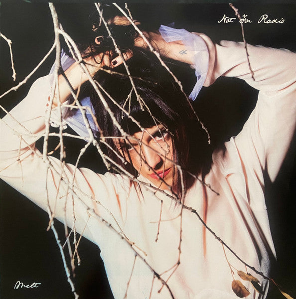 Not for Radio Melt vinyl LP inner sleeve photo