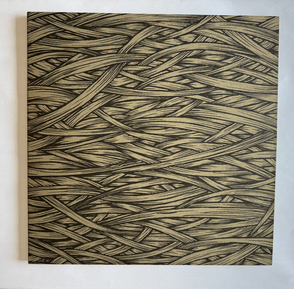 Isis In The Absence Of Truth vinyl 2LP gatefold jacket front panel artwork