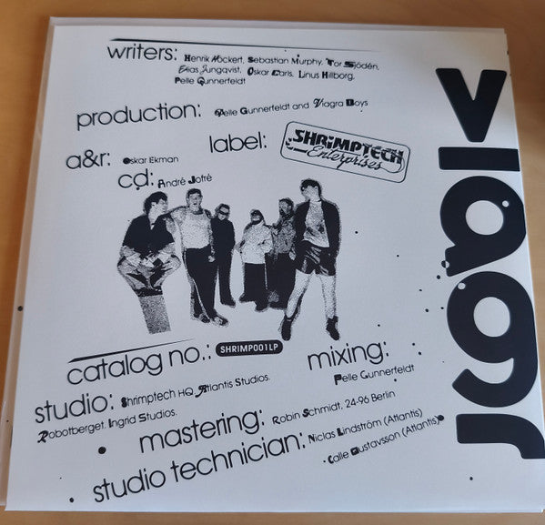 Viagra Boys Viagr Aboys vinyl LP back cover with band photo