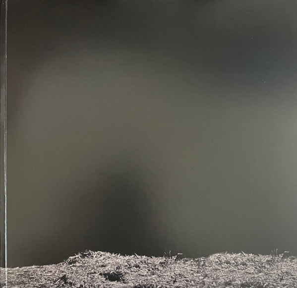 Justin Bieber : SWAG (2xLP, Album, Ltd, Pur)