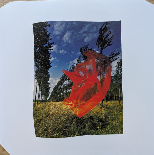 Pink Floyd : Wish You Were Here  (LP, Album, Ltd, RE, RM, Whi)