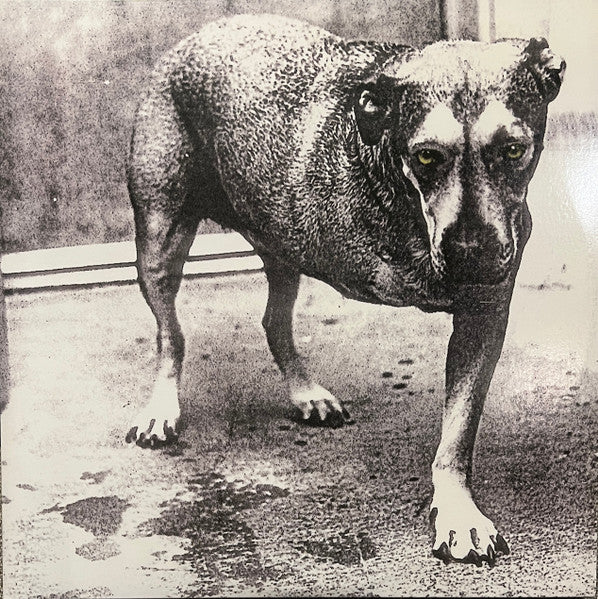 Alice In Chains : Alice In Chains (2xLP, Album, Ltd, RE, Opa)