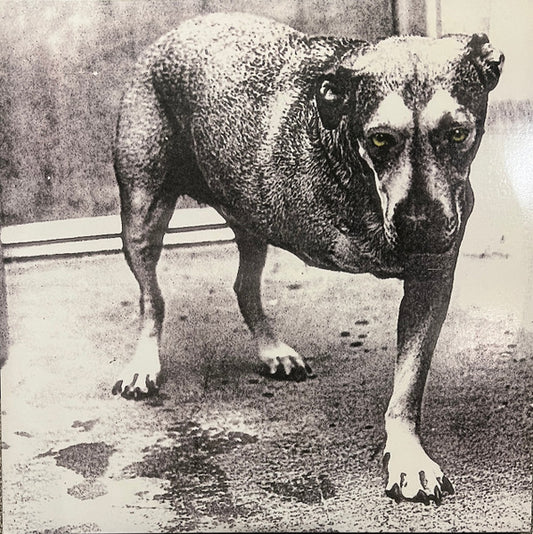Alice In Chains : Alice In Chains (2xLP, Album, Ltd, RE, Opa)