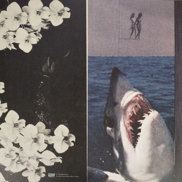 Brand New : Leaked Demos 2006 (LP, RE, Ele)