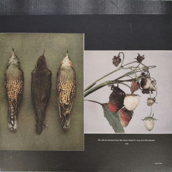 Brand New : Leaked Demos 2006 (LP, RE, Ele)