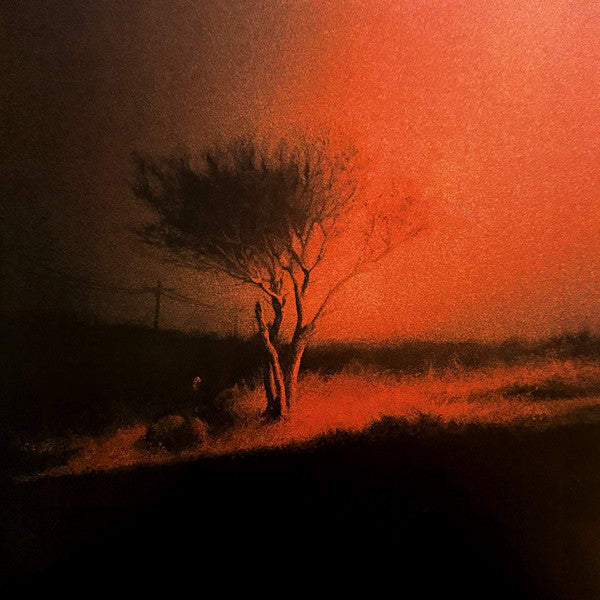 Joji : Piss In The Wind (LP, Album, Ltd, Red)