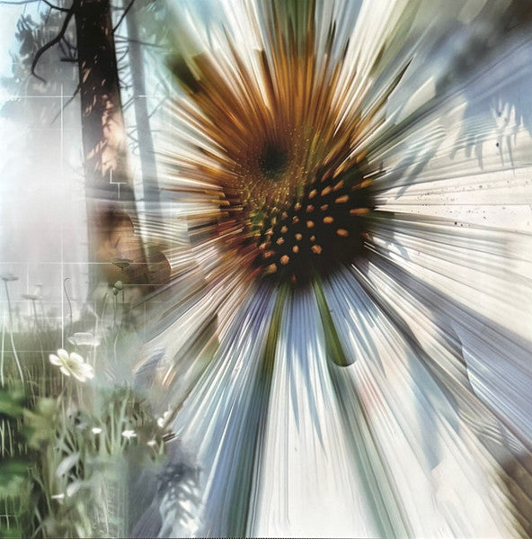 After (14) :  After EP 1 + EP 2 (LP, Comp, Ltd, Num, Lic)