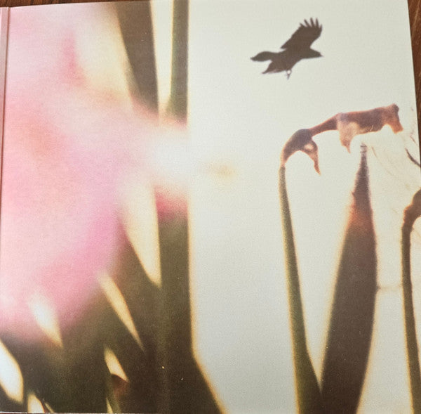 Nightmare Of You : Nightmare Of You (12", Album, Ltd, RE, Clo)