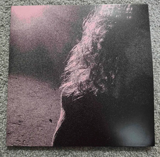 Venturing : Ghostholding (LP, Album, Dlx, Ltd, Num, Blo)
