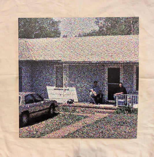 Jane Remover : Frailty (LP, Album, Cok)
