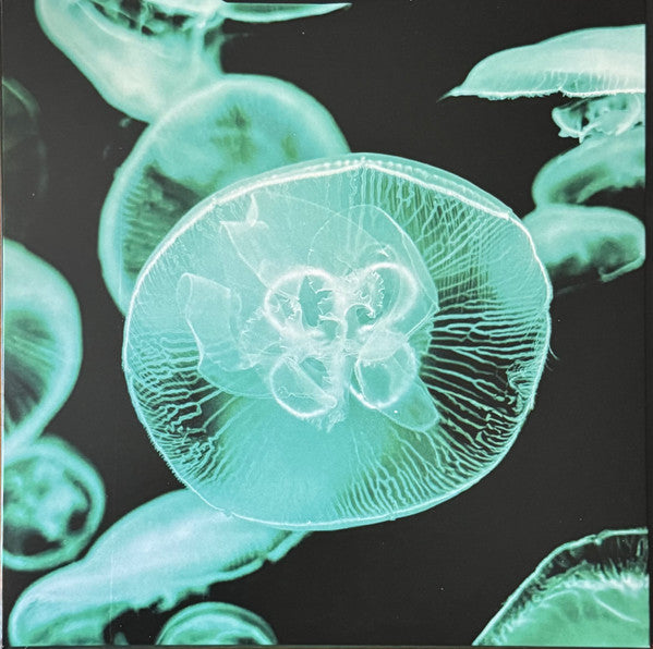 Bring Me The Horizon : Count Your Blessings Repented. (LP, Album, S/Edition, Sup)