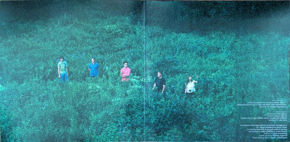 she's green Swallowtail / Chrysalis vinyl 2LP gatefold interior band photo