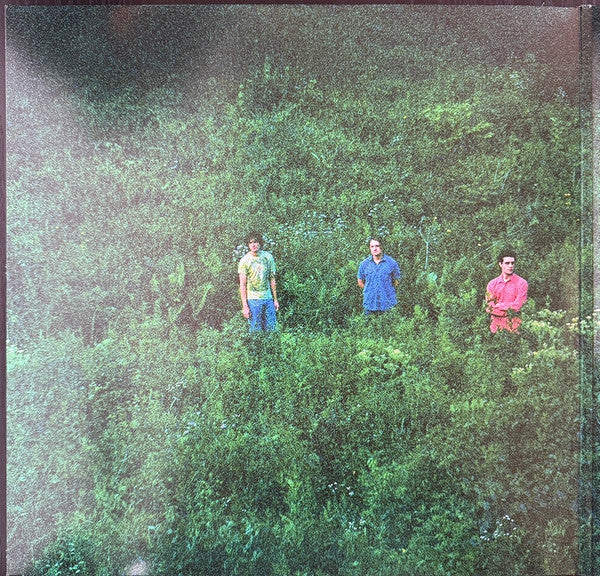she's green : Swallowtail / Chrysalis (2x12", EP, Comp, Ltd, Pur)