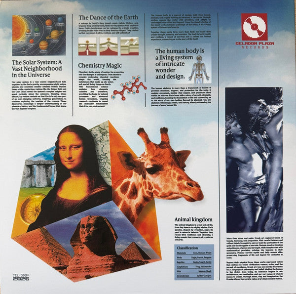 Macroblank, slowerpace 音楽 The Era Of Information vinyl LP back cover with collage art