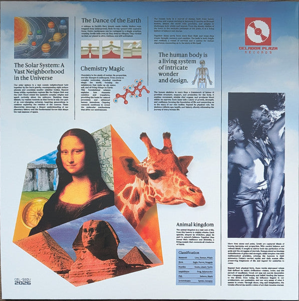 Macroblank, slowerpace 音楽 : The Era Of Information (LP, Album)
