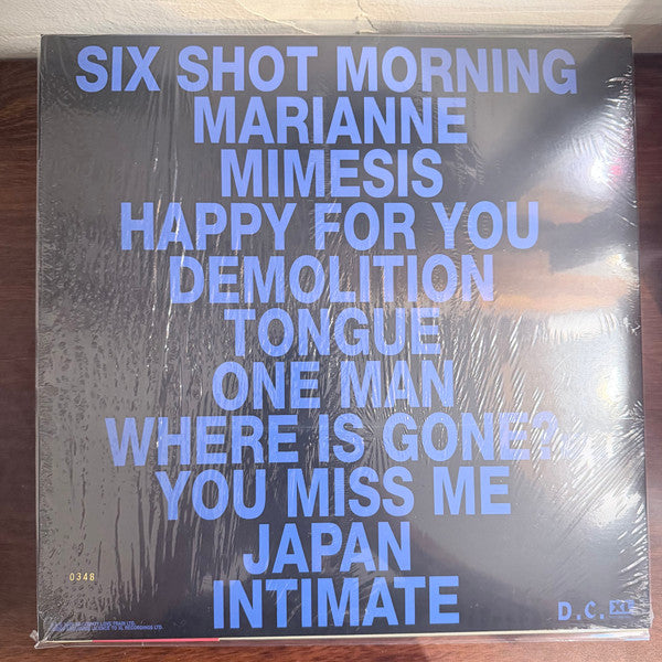 Fontaines D.C. Dopamine Chamber vinyl LP back cover with tracklist