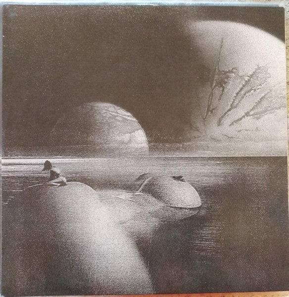León Larregui : Solstis  (LP, Album)
