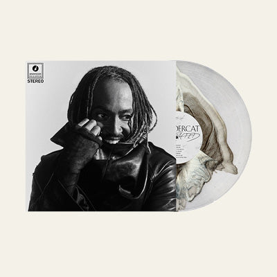 Thundercat Distracted limited edition marble vinyl LP mockup