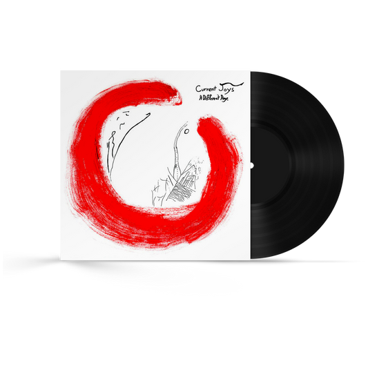 Current Joys - A Different Age Limited Edition Vinyl Record LP