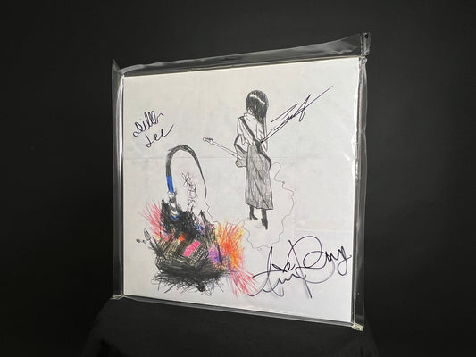 SIGNED julie My Anti-Aircraft Friend vinyl LP with autographed sleeve in clear outer