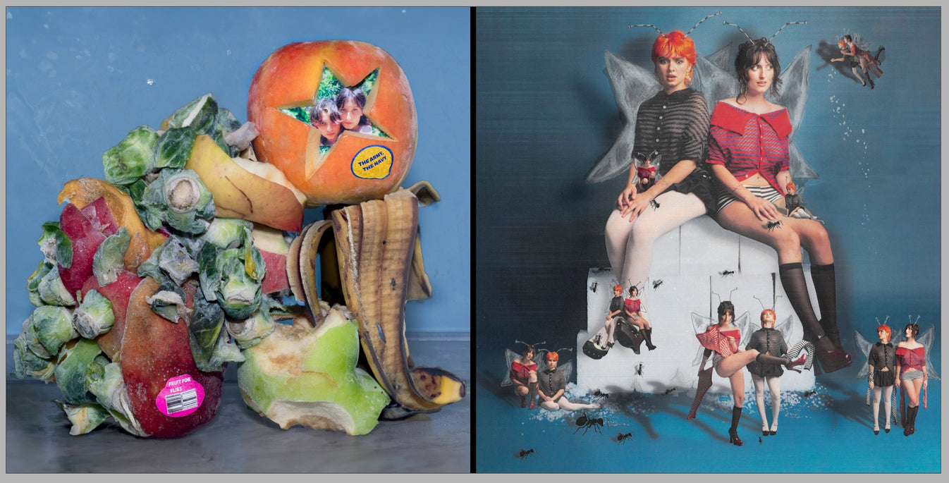 The Army, The Navy - Sugar For Bugs, Fruit For Flies Limited Edition Blue Vinyl Record LP (EPs Compilation)